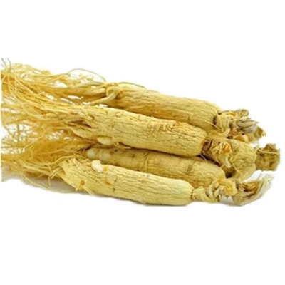 100% Natural Pure Plant Extracts Ginseng Plant Extracts HPLC UV CAS 446-72-0
