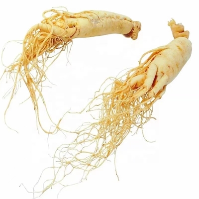 100% Natural Pure Plant Extracts Ginseng Plant Extracts HPLC UV CAS 446-72-0