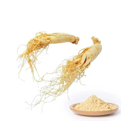 5/1 Red Ginseng Extract Powder , Spring Bio Codonopsis Root Powder
