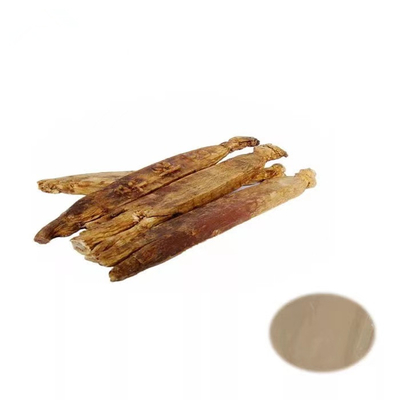 5/1 Red Ginseng Extract Powder , Spring Bio Codonopsis Root Powder