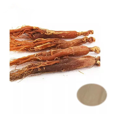 5/1 Red Ginseng Extract Powder , Spring Bio Codonopsis Root Powder