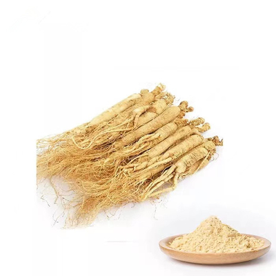 5/1 Red Ginseng Extract Powder , Spring Bio Codonopsis Root Powder