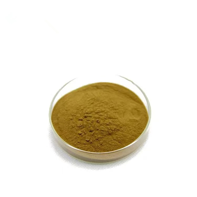 100 X 200 X Producing Organic Aloe Vera Extract Aloe Vera Gel