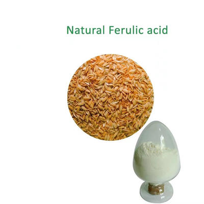 CAS 9004-61-9 Ferulic Acid 98% Plant Natural Rice Bran Extract