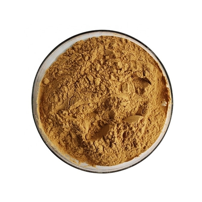 Traditional Chinese Herb Astragalus Root Powder Astragaloside A Astragalus Extract
