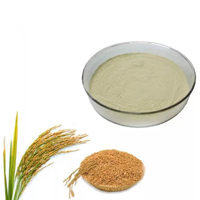 GMP 98% 9004-61-9 Ferulic Acid Powder Anti Oxidation