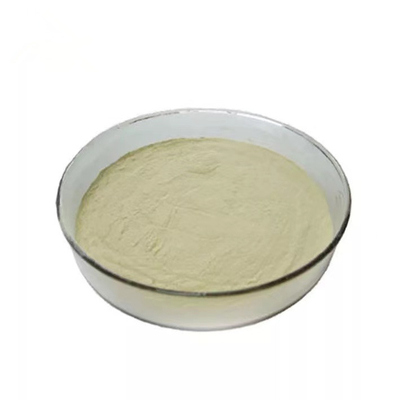 GMP 98% 9004-61-9 Ferulic Acid Powder Anti Oxidation