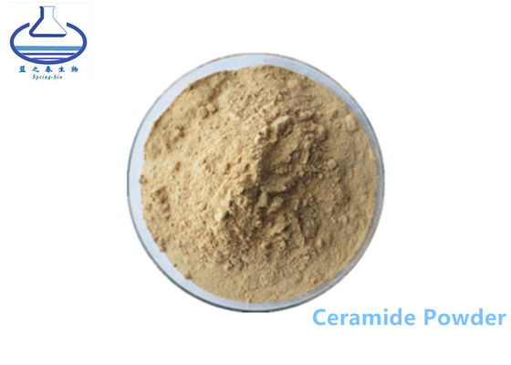 100403-19-8 rice bran extract powder , 10% Pure Ceramide Powder