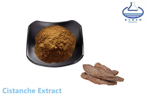 Echinacoside Cistanche Tubulosa Extract Powder for Healthcare Products