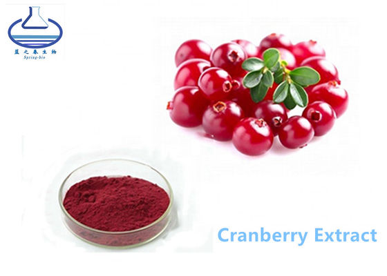 Purple Red Cranberry Extract Powder Medical Grade With Anthocyanidins