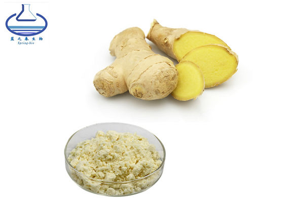CAS 23513-14-6 Ginger Root Extract Powder for Healthcare Products