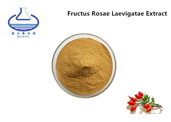 Bulk Food Grade Fructus Rosae Laevigatae Extract Powder