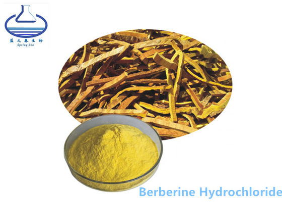 Berberine Hydrochloride Phellodendron Amurense Extract Yellow Powder 633-65-8
