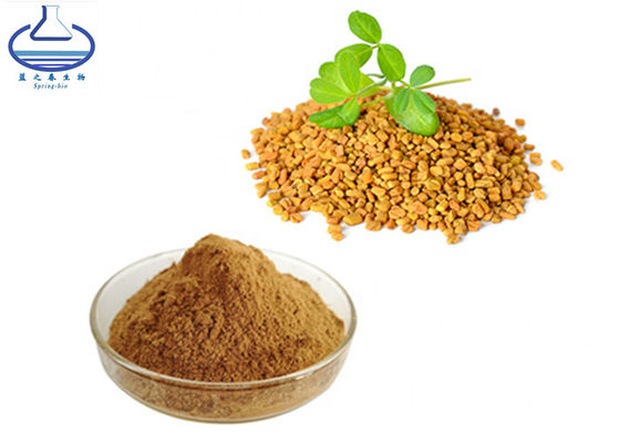 Wholesale Bulk Fenugreek Seed Extract Saponin Powder