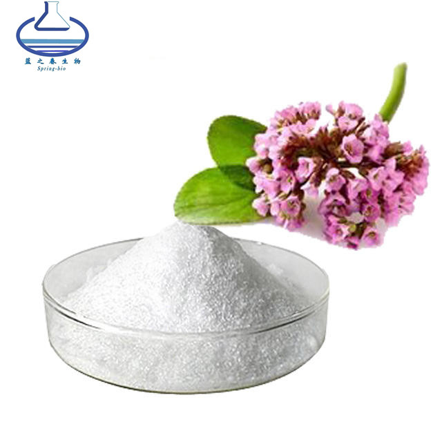 Bergenia Purpurascens Pig Squeak Extract Powder Bergenin